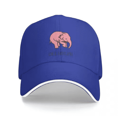 Casquette Beauf | Delirium